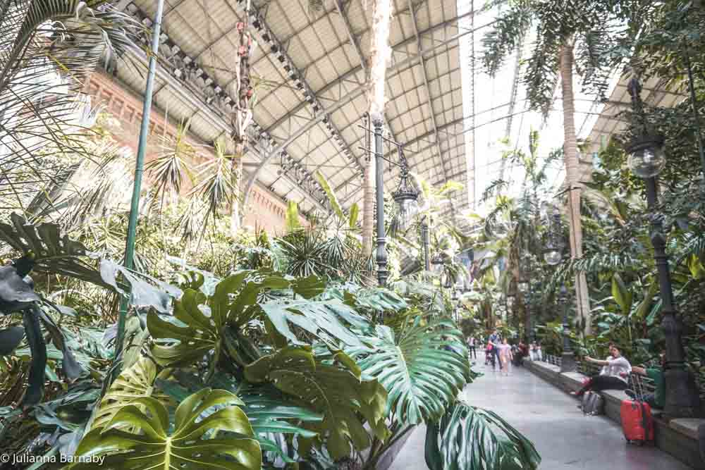 Tropical Vibes in Atocha Station