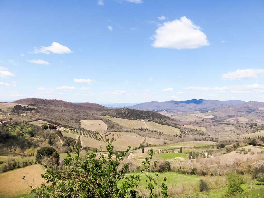Rolling vineyards of tuscany