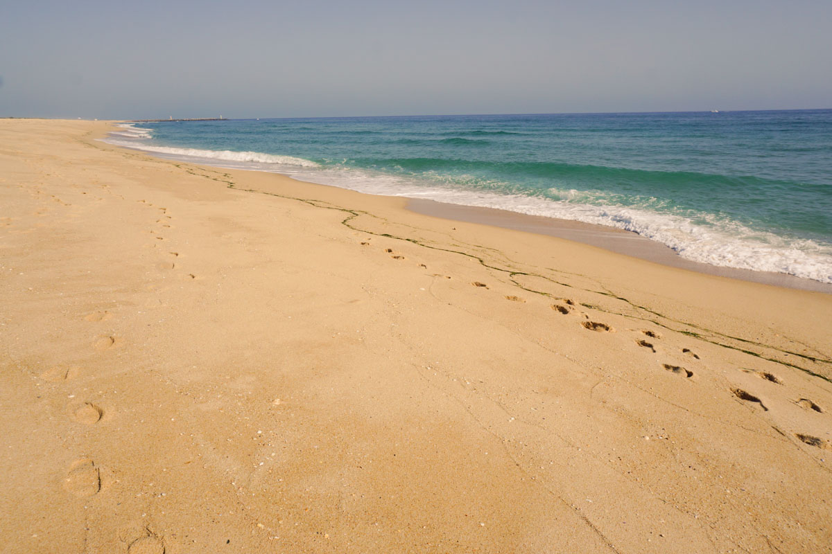 Ilha Deserta'daki plaj