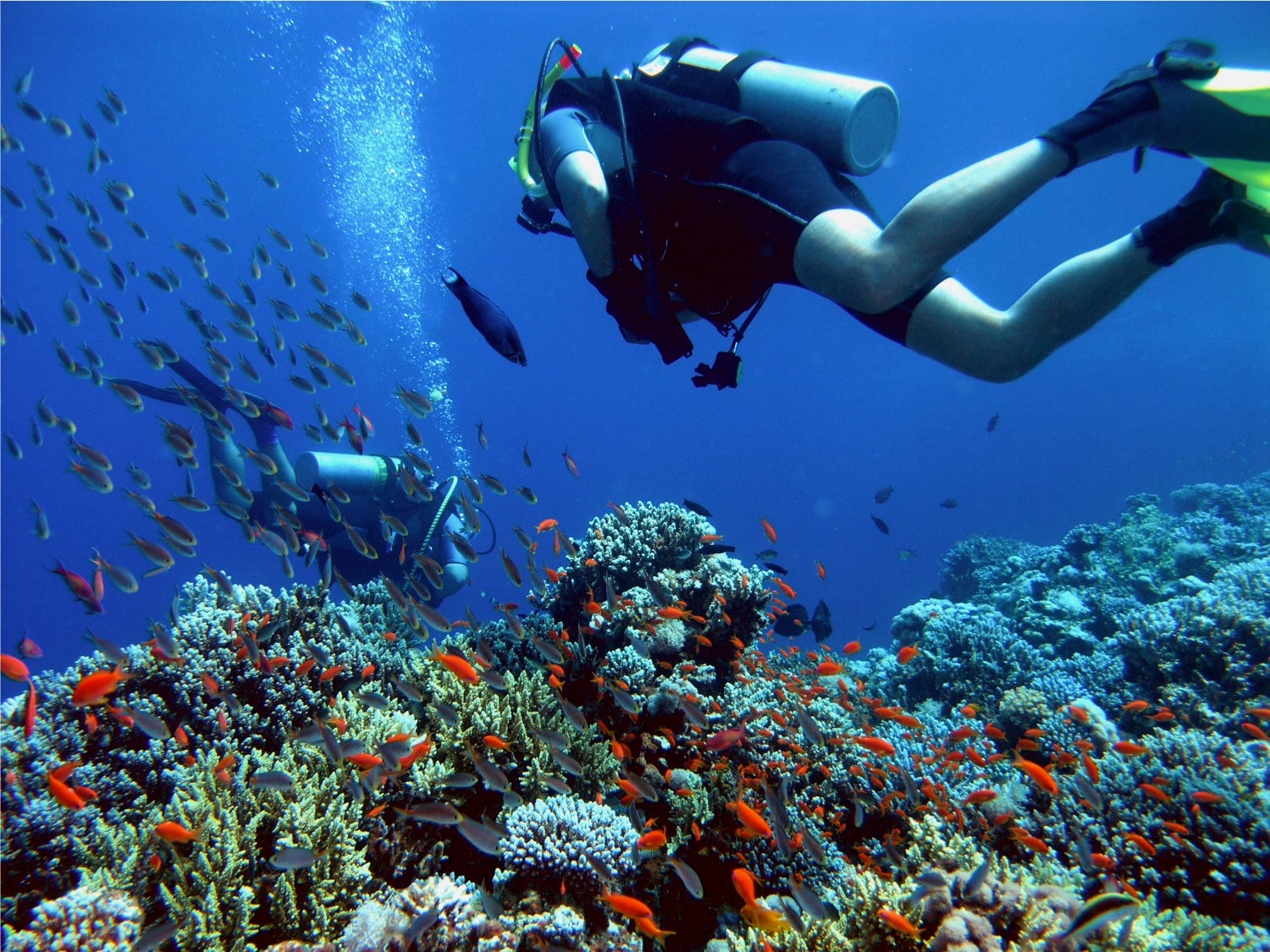 scuba diving in Thailand 
