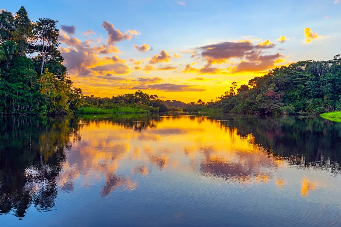 Ekvador Yasuni Milli Parkı'nda Sihirli Gün Batımı