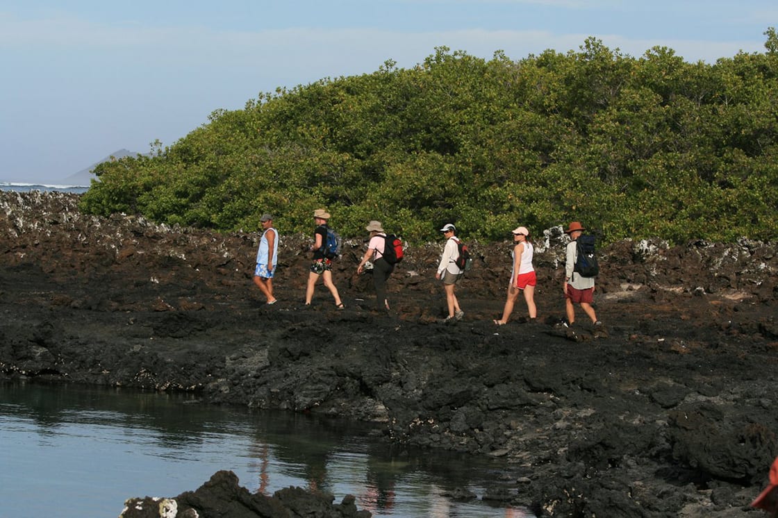 Galapagos'ta Isabela Adası'nı Keşfetmek