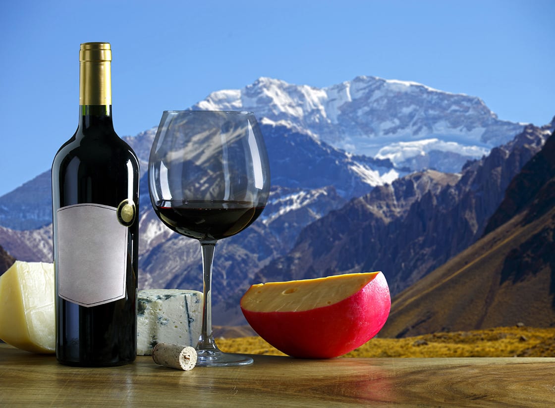 Arjantin Şarabı Ve Peyniri Ve Arkadaki Aconcagua Dağı