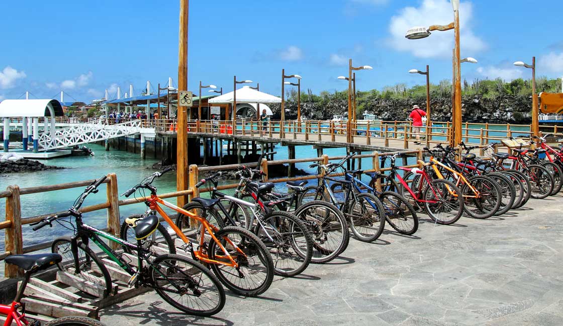 Limanda park edilmiş dağ bisikletleri
