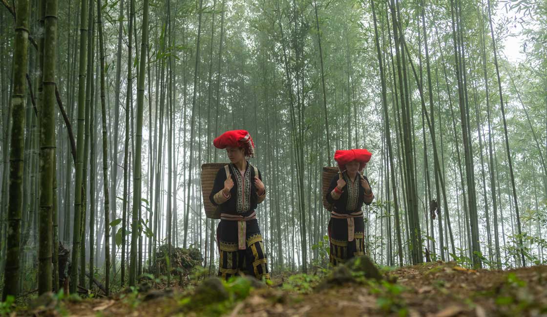 Two Dao women walking through the forest