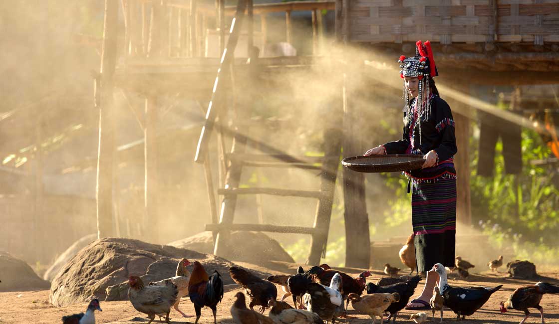 A woman of ethnic group working in her yard