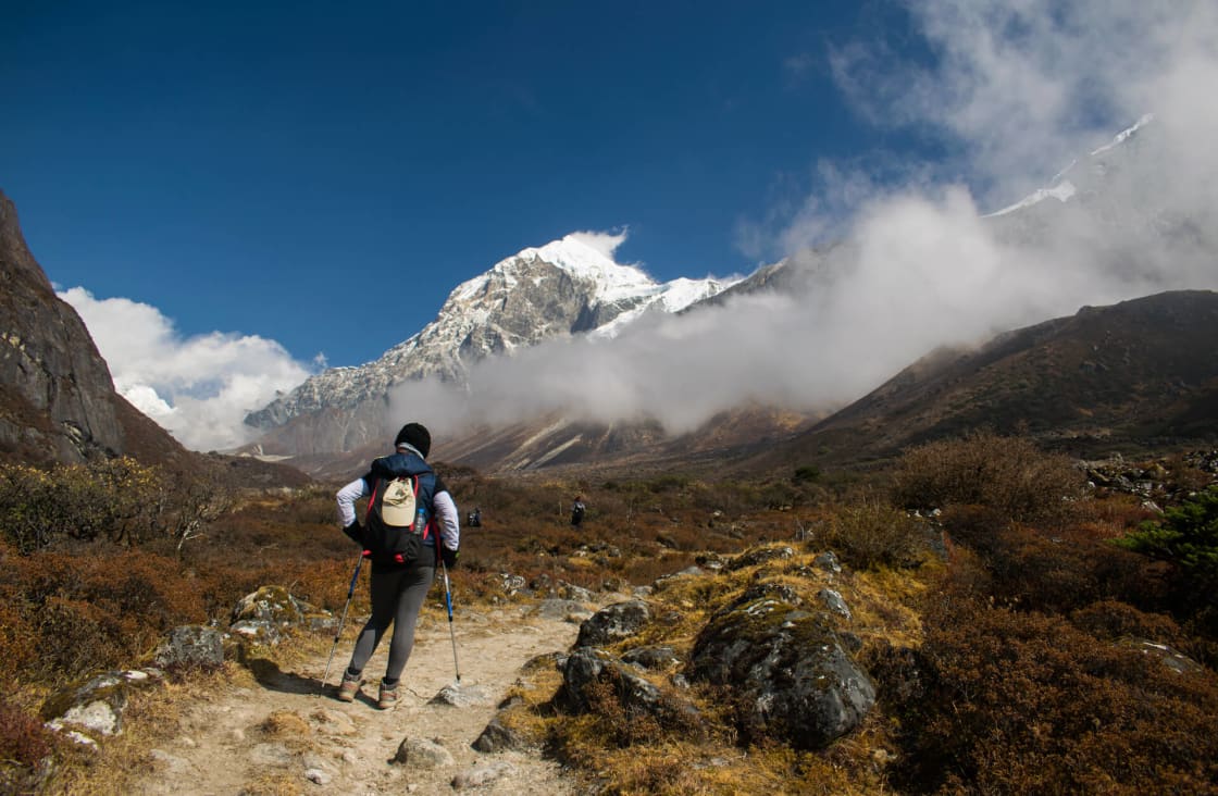Yürüyüşçü, Batı Sikkim'de Goechala Trek'i denedi