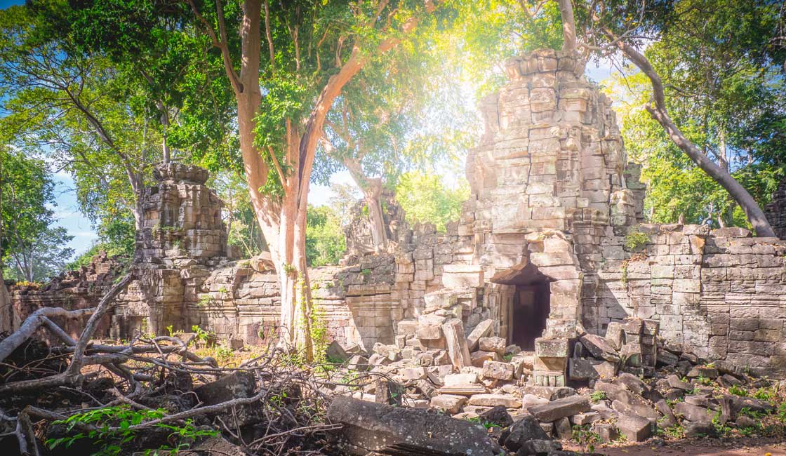 Angkor harabelerinde güneşli bir gün