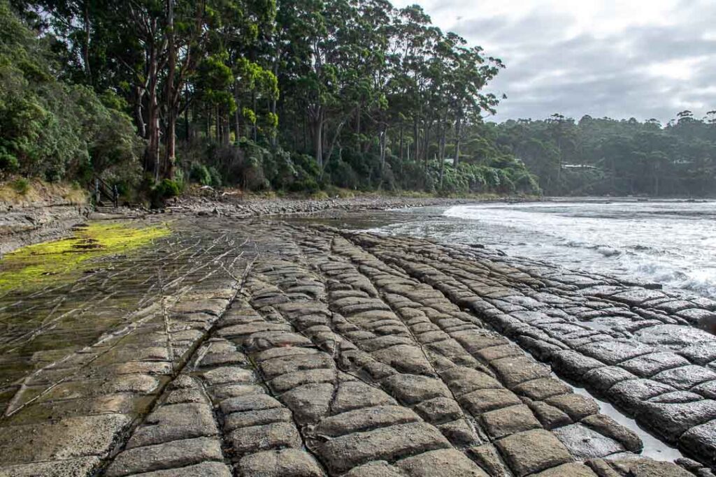 Mozaik Kaplama, Tasman Yarımadası Tazmanya