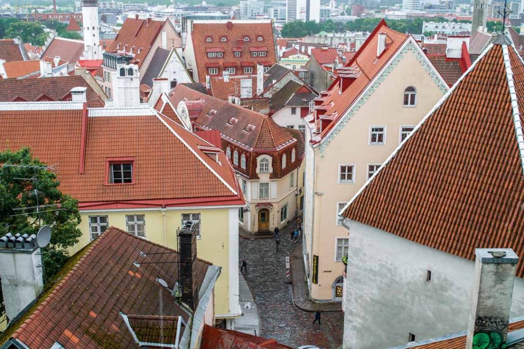 Tallinn'in çatıları