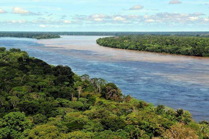 Amazon-Rainforest_18 Ekim