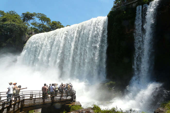 Iguazu Şelaleleri'ndeki manzaralara dalın