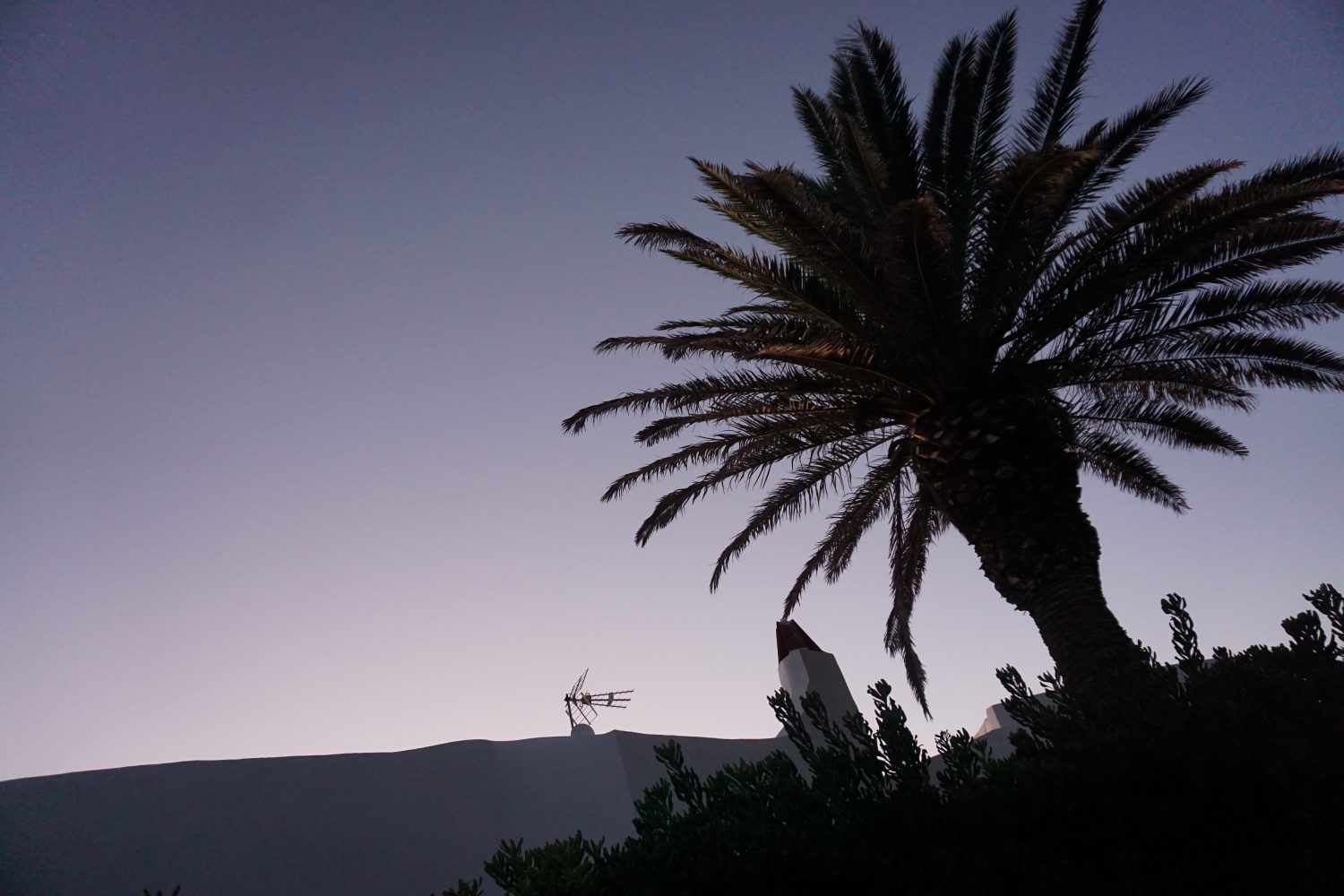 Minorka'da Gün Batımı - Palmiye Ağaçları