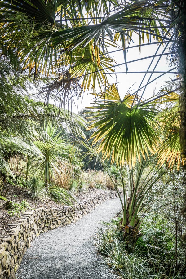 Trebah Bahçeleri, Cornwall