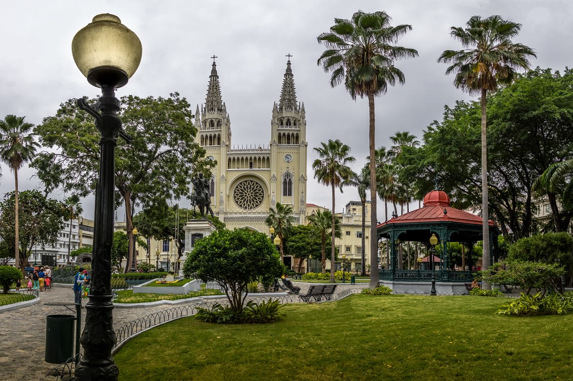 Seminario Parkı (iguanalar Parkı) Ve Metropolitan Katedrali Guayaquil, Ekvador