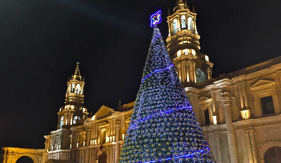 Katedralin önünde Noel ağacı