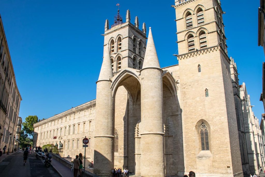 Montpellier Katedrali, Montpellier Fransa'da Ne Yapılır?