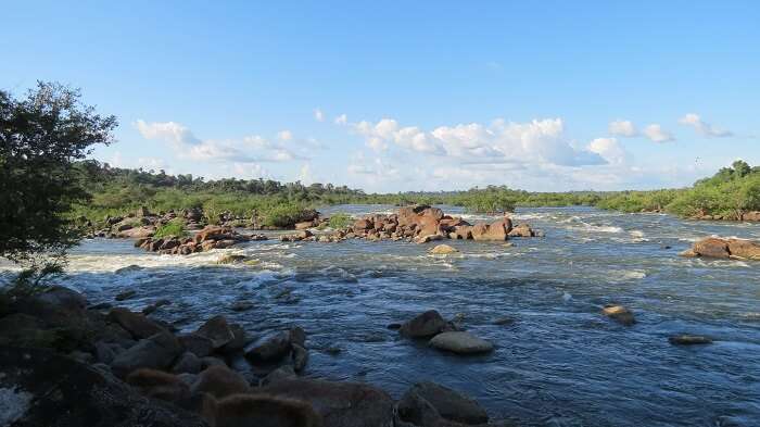 Xingu Nehri
