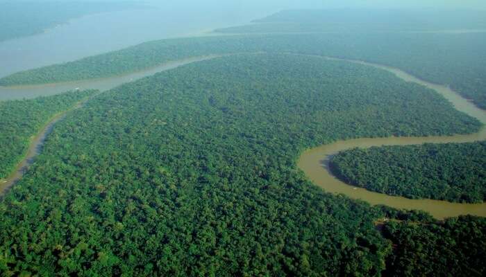 Vahşi ve egzotik Amazon yağmur ormanlarını keşfedin