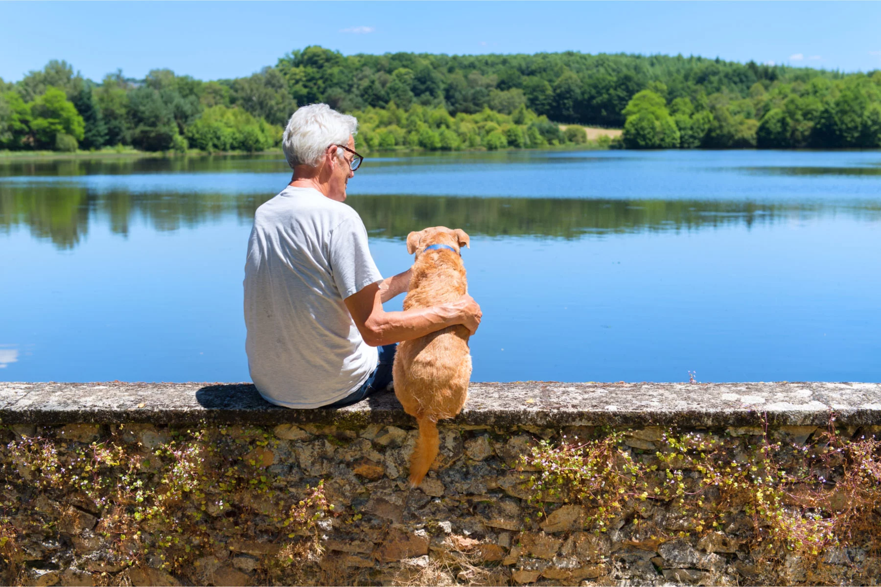 Fransız emekli ve köpeği göl kenarında rahatlıyor 