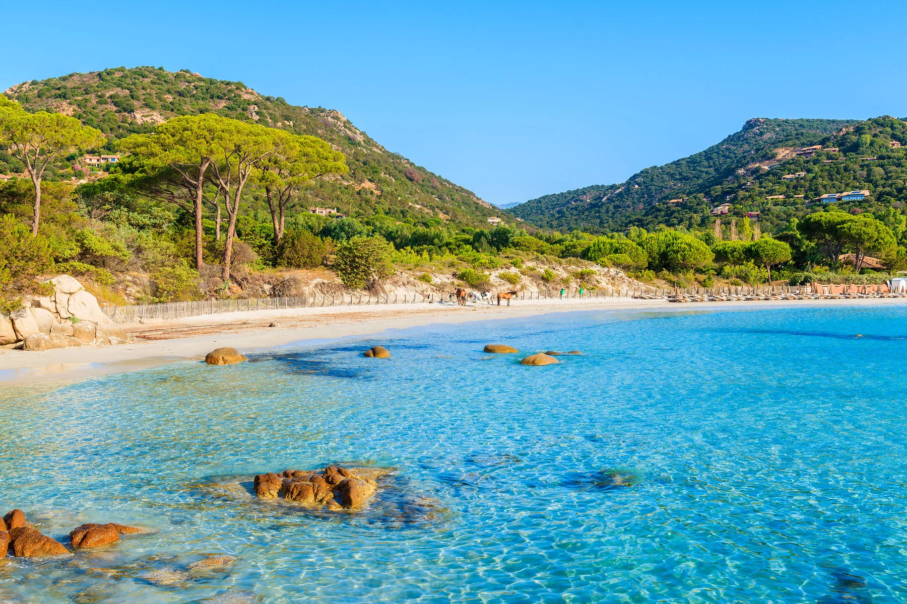 Korsika'daki Palombaggia Plajı